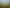 Sample img #14
